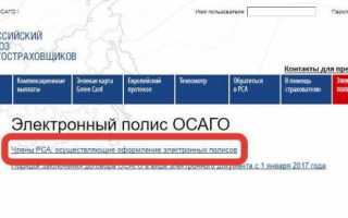 Как оформить полис ОСАГО через Госуслуги 2020