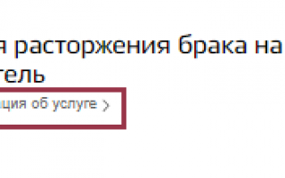 Как подать заявление в ЗАГС на регистрацию брака через Госуслуги?