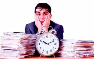 Подробно о том, как узнать свой трудовой стаж по СНИЛС