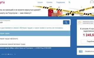 Как оформить звание Ветеран труда через портал Госуслуг