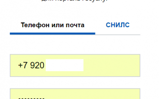 Как оплатить аренду земельного участка через «Госуслуги»