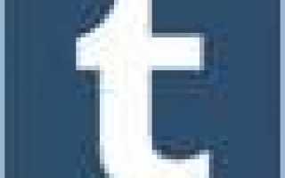 Как подтвердить карту стрелка учащегося через Госуслуги