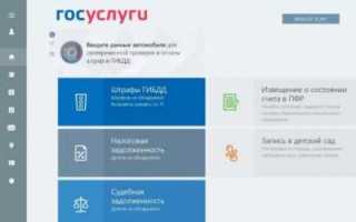Госуслуги для ПК Windows 10