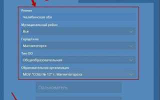 Сетевой город Магнитогорск: вход и регистрация в системе