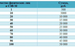 Опоздали со сдачей СЗВ-М? Узнайте, как избежать штрафа