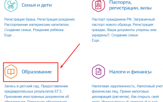 Как оплатить школьное питание через портал Госуслуги