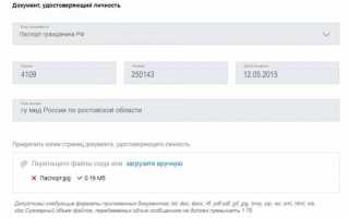 Как оформить пропуск в погранзону через Госуслуги