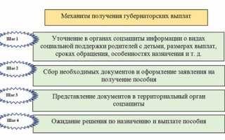 Региональные (губернаторские) выплаты при рождении ребенка: кто и как может получить