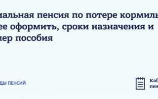 Какие нужны документы для оформления пенсии по потере кормильца