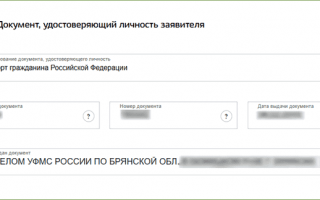 Как оформить заявление на ежемесячную выплату 5000 рублей семьям с детьми до 3 лет [ИНСТРУКЦИЯ]