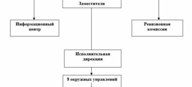 17.2. Пенсионные взносы
