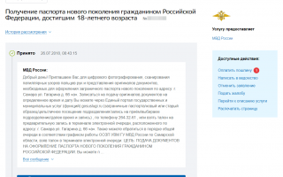 Как оформить загранпаспорт через сайт Госуслуги