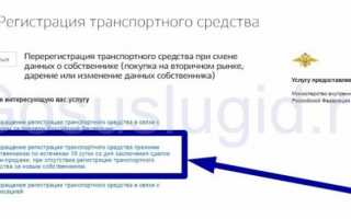 Всё о прекращении регистрации транспортного средства: подробная инструкция и советы юриста