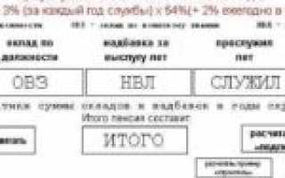 Дополнительные страховые взносы на накопительную часть пенсии – особенности