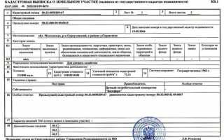 Стоимость выписки из ЕГРН – размер оплаты и типы сведений из Росреестра