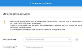 Передача показаний счетчиков воды и электроэнергии через Госуслуги