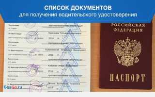 Где вы будете получать водительское удостоверение: что писать на Госуслугах