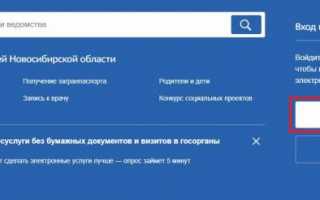 Как узнать пенсионные накопления по СНИЛС через Госуслуги