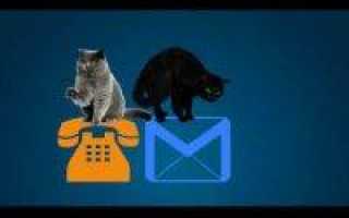 Как зарегистрироваться в Госуслугах через СНИЛС