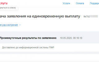 За сколькой дней до ПФР дошло моё заявление на 10 000 рублей на детей с 3 до 16 лет (промежуточные результаты)