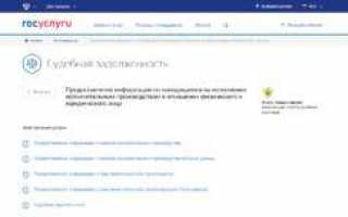Как узнать задолженность по алиментам через интернет онлайн на сайте госуслуг