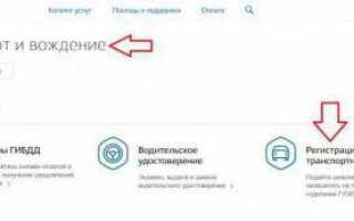 Пошаговая инструкция по оплате госпошлины за регистрацию автомобиля через Госуслуги