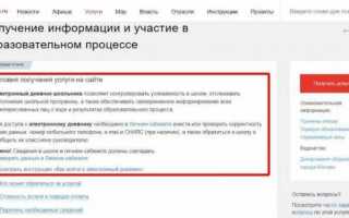 Дневник.ру через Госуслуги