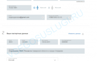 Как оформить загранпаспорт старого образца через портал Госуслуги