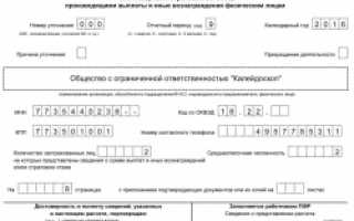 РСВ-1 ПФР – 2016: образец заполнения