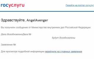 Кто делал загранпаспорт через госуслуги?