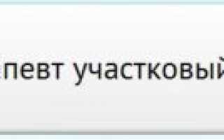 Запись на прием к врачу Челябинск (talon.zdrav74.ru)