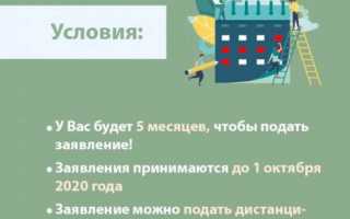 Система не находит СНИЛС при оформлении пособия: выясняем, в чем причина