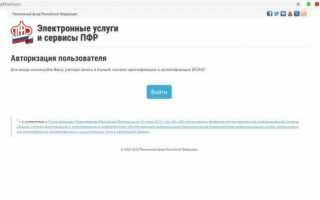 Как узнать и посмотреть остаток материнского капитала на портале Госуслуг