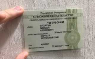 СНИЛС — сколько времени делается в ПФР