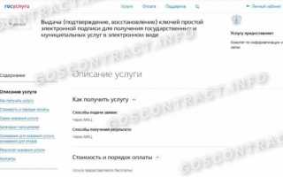 (ЭЦП) электронная подпись для госуслуг, создание и получение