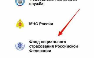 Как добавить ОКВЭД для ИП в 2020 году — простая пошаговая инструкция