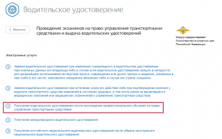 Запись в ГИБДД через «Госуслуги»