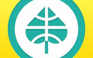 Скачать ПФР