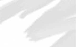 Жители Москвы могут оформить пропуск для въезда в Тульскую область через сайт mos.ru