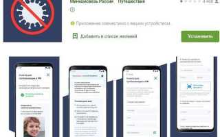 В Москве одновременно запустили две системы цифровых пропусков для передвижений по городу