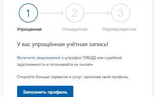 Почему не заполняется поле в Госуслугах