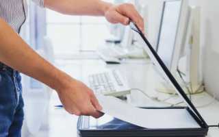 Пошаговая инструкция, как заказать справку о несудимости через Госуслуги