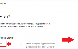 Разрешение на оружие через госуслуги