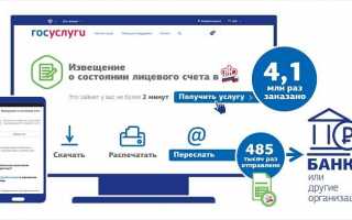 Как получить выписку ПФР через сервис Госуслуги: сроки оформления документа, пошаговое описание процесса