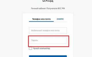 Государственные услуги ФСС в электронном виде