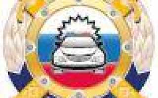 Электронное правительство: Госуслуги для Android и iOS