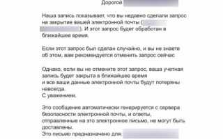 Осторожно, мошенники! Как обманывают людей через сайт госуслуг?