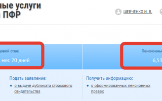 Расчет ежемесячного пенсионного начисления с помощью онлайн-портала Госуслуги
