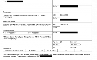 Порядок расчета по страховым взносам и составление отчетности