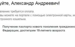 Почему не работает оплата на Госуслугах – причины и что делать?